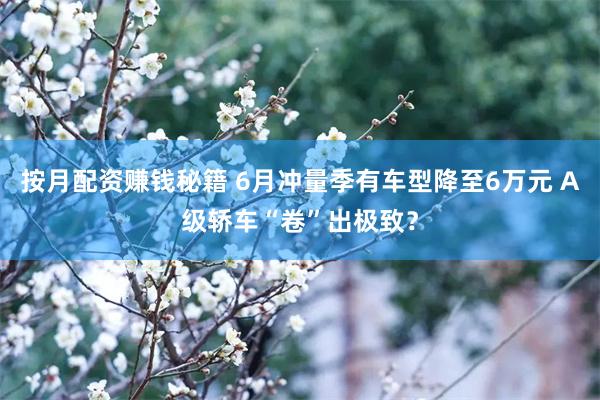 按月配资赚钱秘籍 6月冲量季有车型降至6万元 A级轿车“卷”出极致？