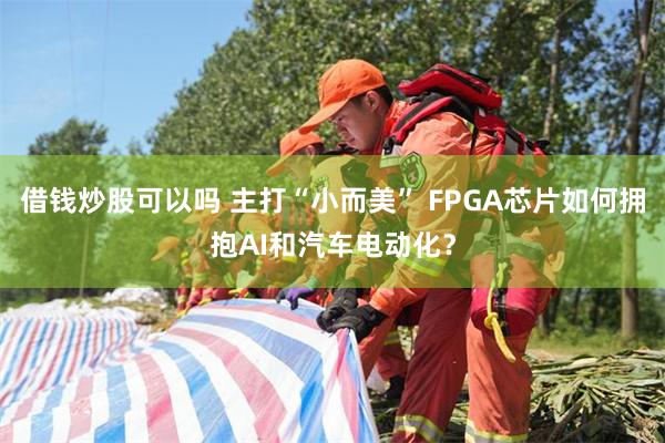 借钱炒股可以吗 主打“小而美” FPGA芯片如何拥抱AI和汽车电动化？