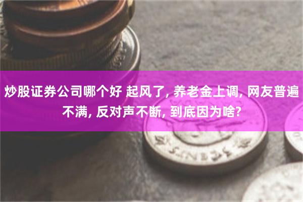 炒股证券公司哪个好 起风了, 养老金上调, 网友普遍不满, 反对声不断, 到底因为啥?