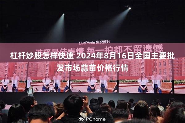 杠杆炒股怎样快速 2024年8月16日全国主要批发市场蒜苗价格行情