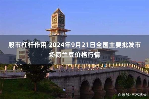 股市杠杆作用 2024年9月21日全国主要批发市场荷兰豆价格行情