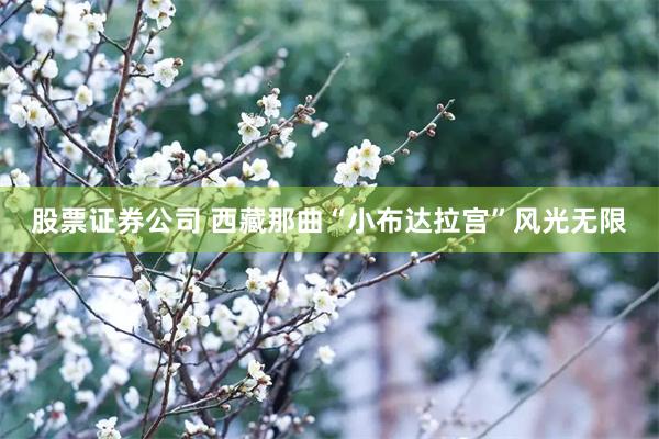 股票证券公司 西藏那曲“小布达拉宫”风光无限