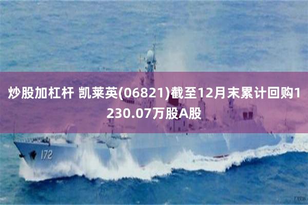 炒股加杠杆 凯莱英(06821)截至12月末累计回购1230.07万股A股