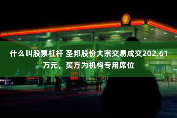 什么叫股票杠杆 圣邦股份大宗交易成交202.61万元，买方为机构专用席位