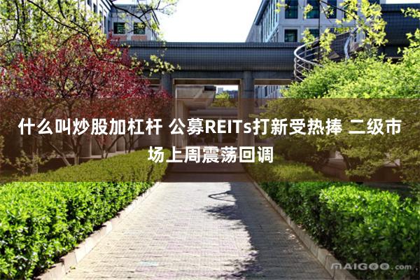 什么叫炒股加杠杆 公募REITs打新受热捧 二级市场上周震荡回调